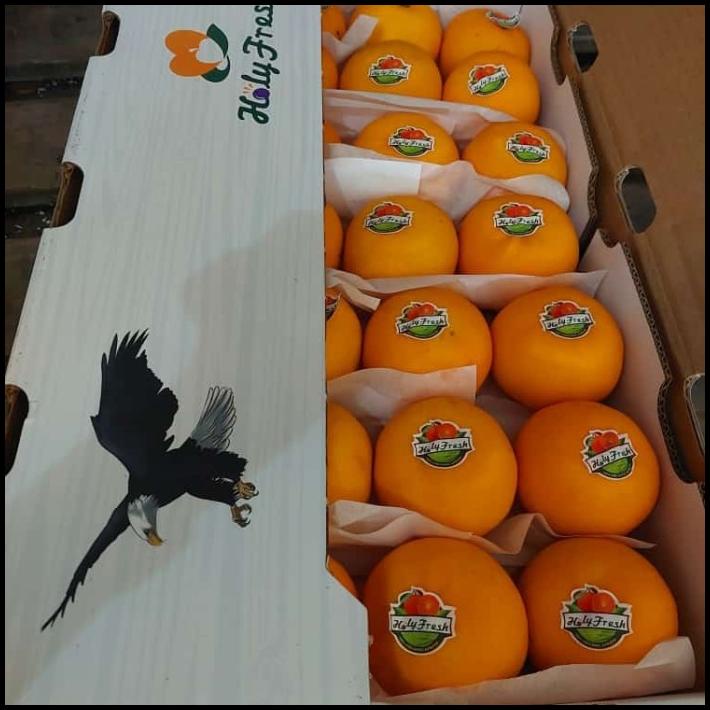 

HOT DEAL BUAH JERUK WOKAM ISI 9 KG/JERUK IMPORT FRESH/ KADO BUAH !!!!