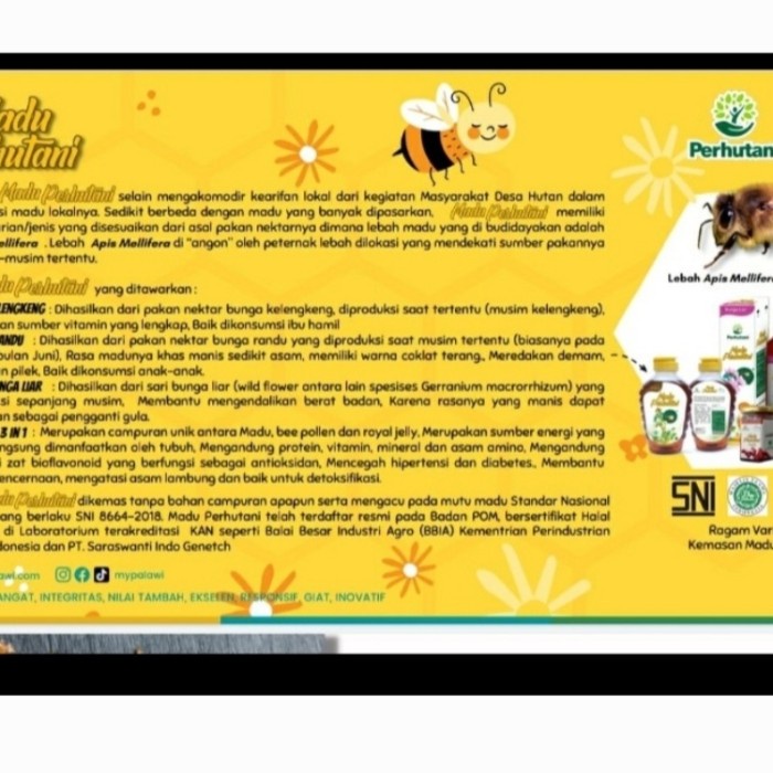 

MADU BUNGA LIAR ASLI PERHUTANI 650ML