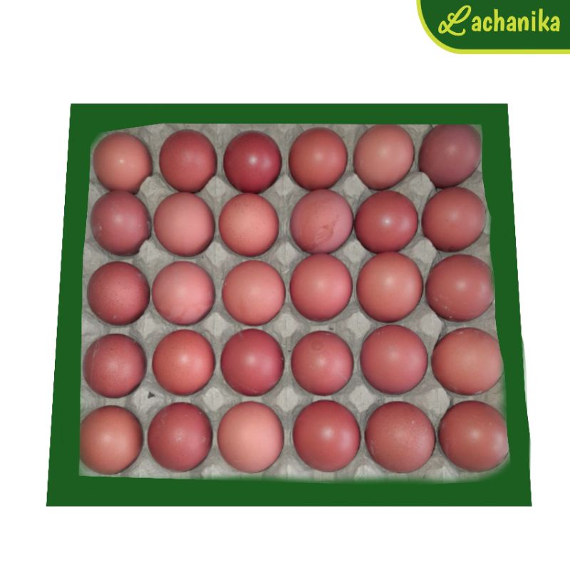 Telur Ayam 1 tray