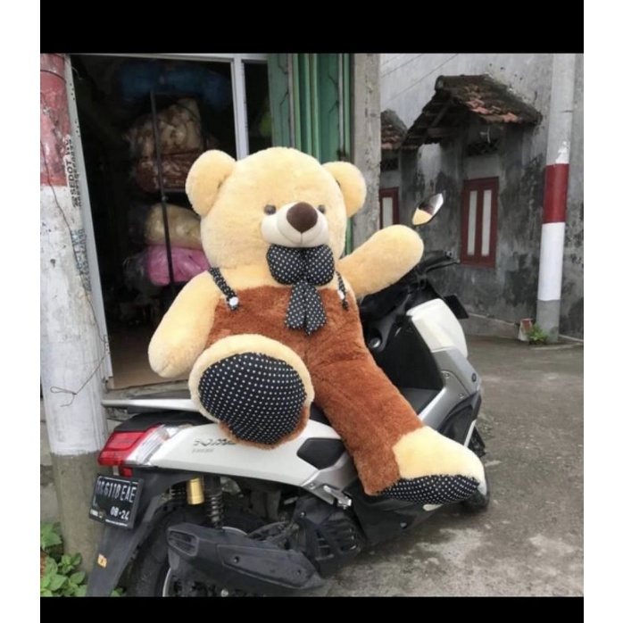 {READY}Boneka Teddy Bear 1,2mtr//Boneka Beruang 1,2 meter SNI Real