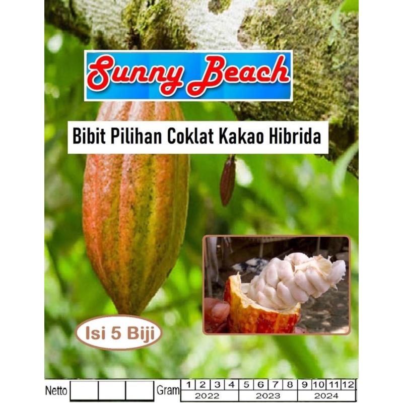 Bibit Pilihan Coklat Kakao Hibrida|Biji Benih Cokelat Kakao Hibrida