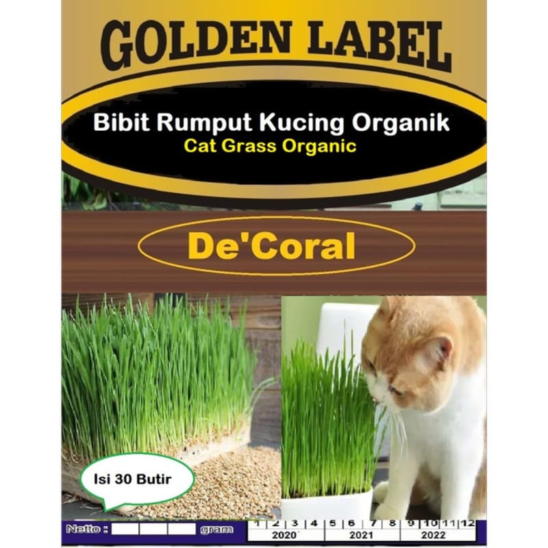 Bibit Rumput Kucing Organik | Cat Grass Organic | Benih Rumput Kucing
