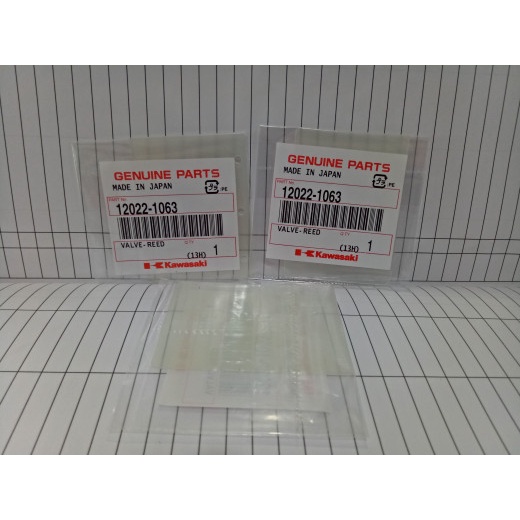LIDAH MEMBRAN KX KAWASAKI NINJA R/NINJA RR ORIGINAL JAPAN ORIGINAL BEST QUALITY