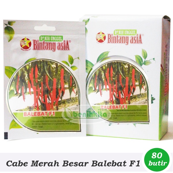Benih/Bibit Cabe Merah Besar Balebat F1 (Bintang Asia)