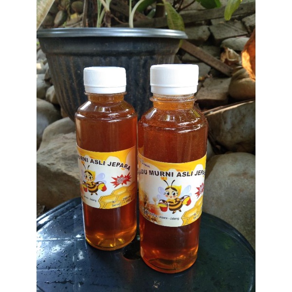 

Madu liar original dari jepara 250 ml