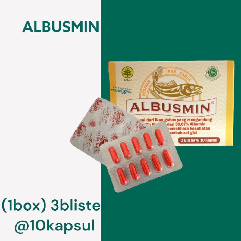 ALBUSMIN 10 KAPSUL/SUPLEMEN IKAN GABUS