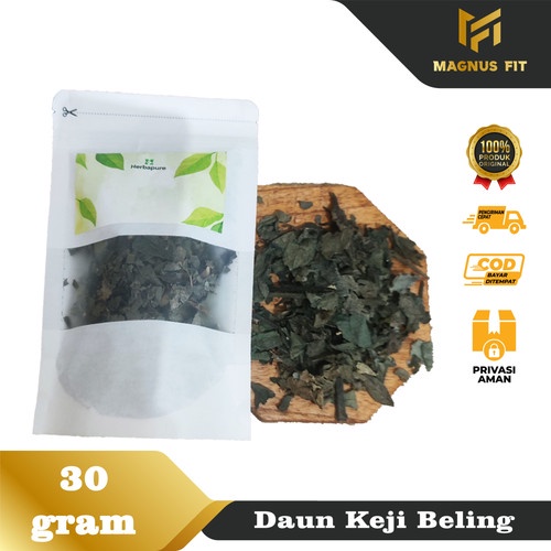 

☘️Magnus Fit☘️ Daun Keji Beling Kering 30 gr