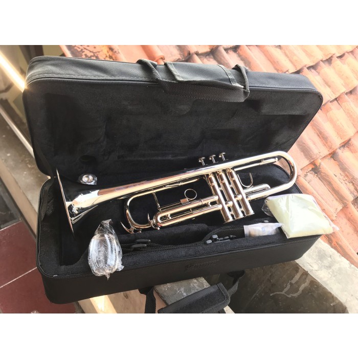 ✨Sale Trumpet Lincoln Nickel Limited