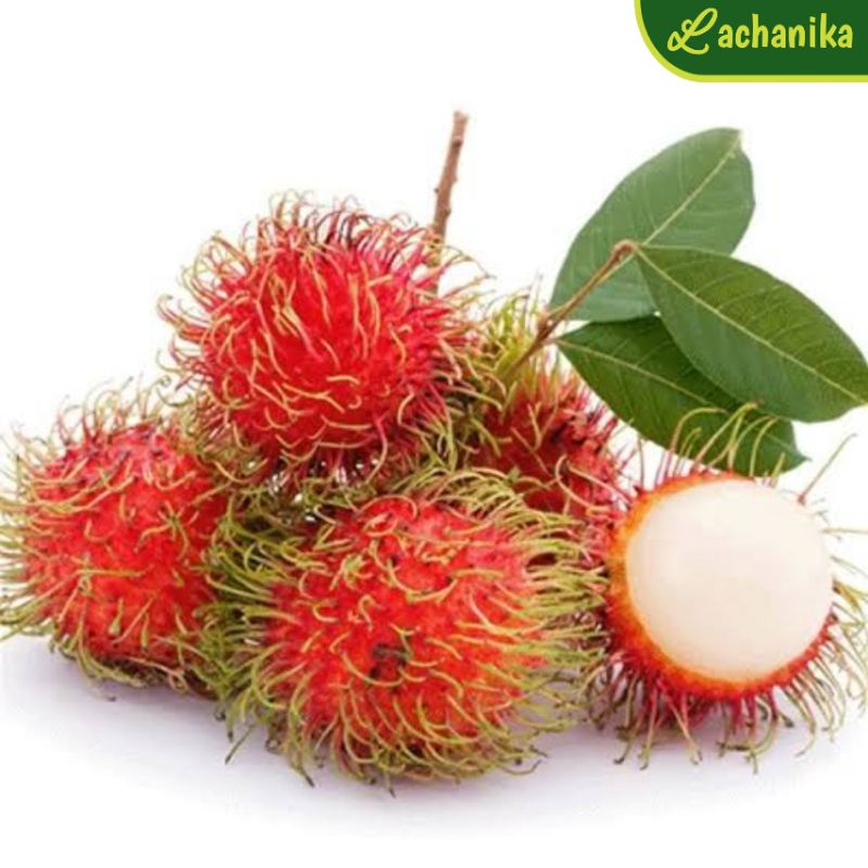 

Buah Rambutan Manis Fresh