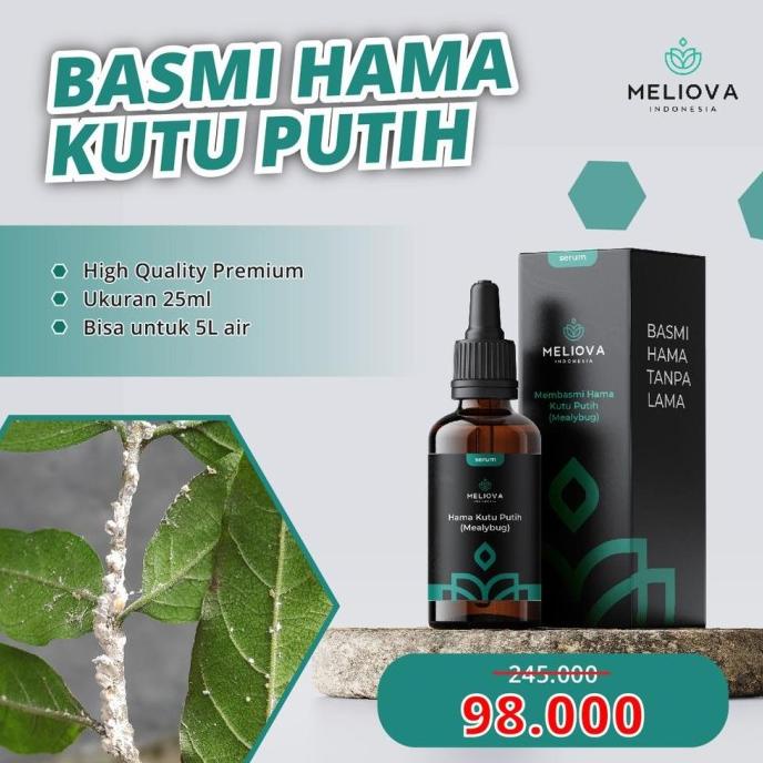Meliova Serum pembasmi hama kutu putih/Obat Hama Anti Kutu