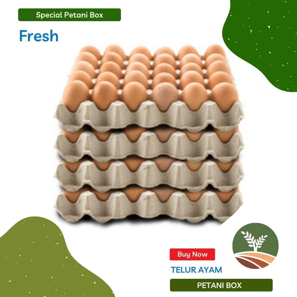 

TERBAIK TELUR AYAM 1 KG PETANI BOX KOTA BANDUNG NEW ARRIVAL DI BULAN INI