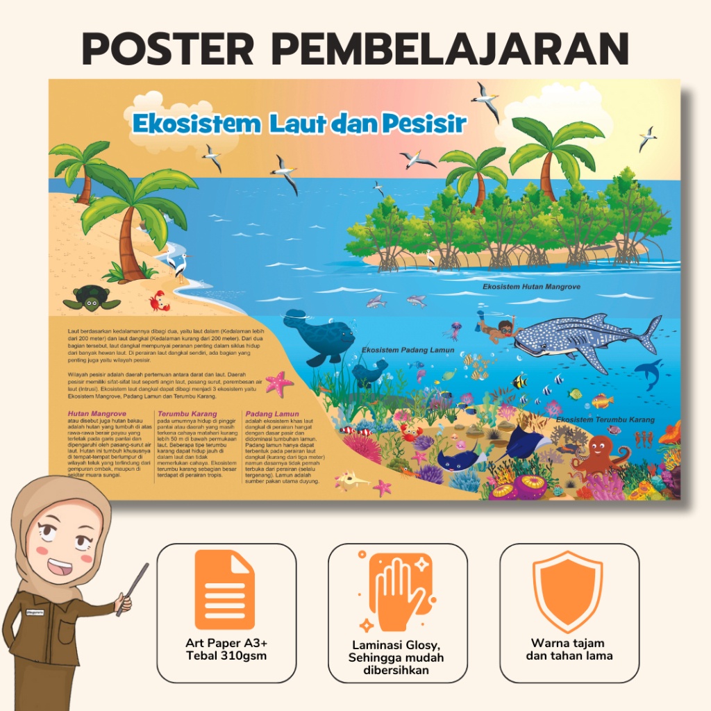 Bu Guru Ria - Poster Ekosistem Laut Dan Pesisir Edukasi Pembelajaran Untuk Sekolah Dasar
