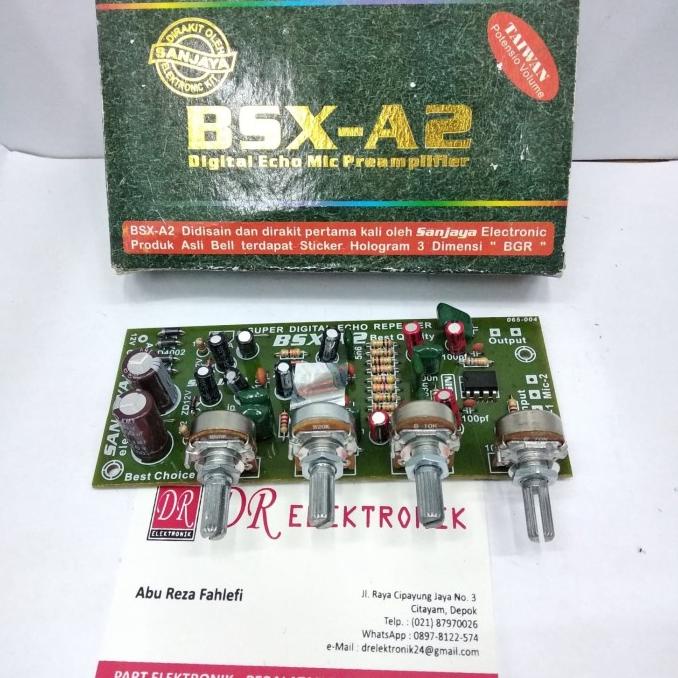 Kit Tone control Digital Echo Mic Preamplifier Pre amp BSX A2 BELL dre3