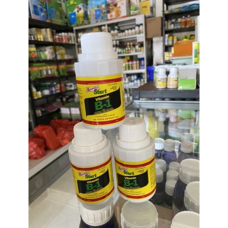 Vitamin B1 untuk tanaman