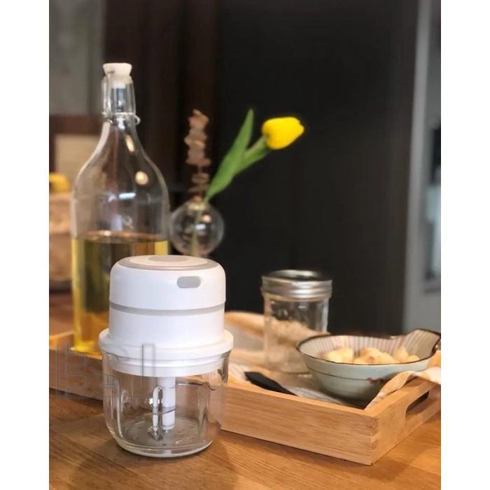 MINI electric FOOD CHOPPER GLASS 300ml mini blender KACA