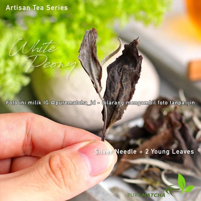 

Artisan Tea Cafe - White Peony Tea Tbw 100Gr Teh Putih Premium Tea Kode 613