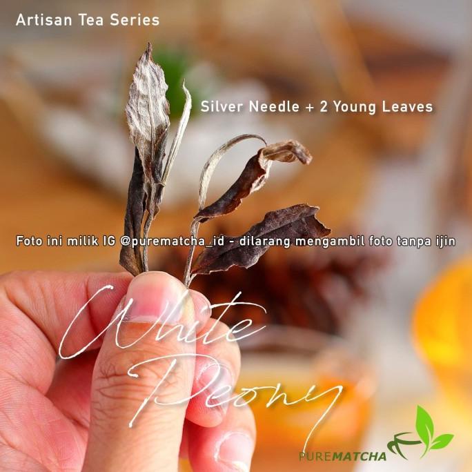 

Artisan Tea Cafe - White Beauty Tea Tbw 10Gr Sample White Peony Teh Kode 1180