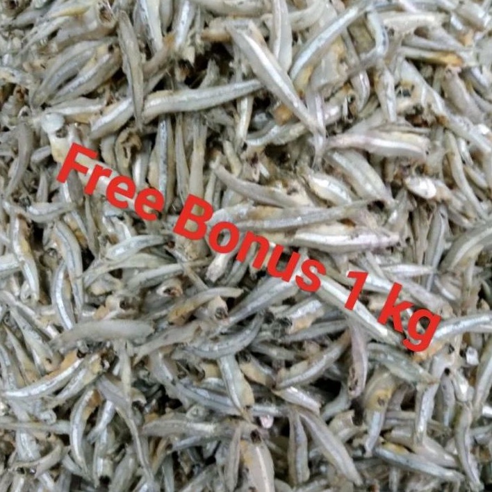 

Teri Jengki uk ¼ kg + Gratis Bonus