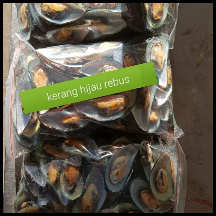 

TERMURAH KERANG HIJAU REBUS/ GREEN MUSSEL PREMIUM QUALITY !!!