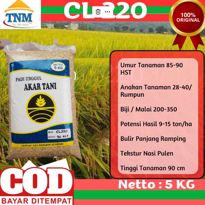 New Bibit Padi Hasil Melimpah CL220 CL 220 5KG