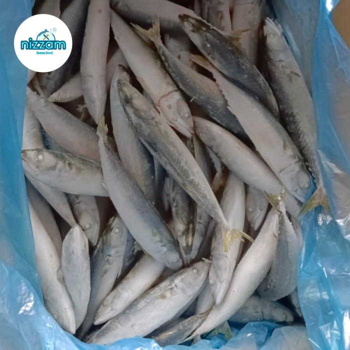 

ikan makarel 10kg