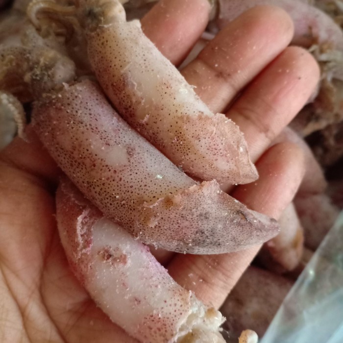 

Ikan Cumi Asin Kering/Sotong Kering Per 500Gr