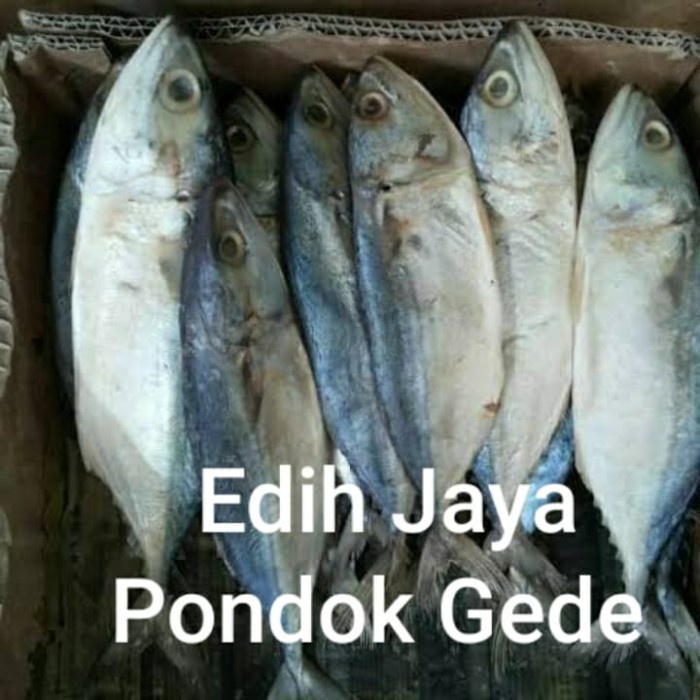 

Ikan Asin Peda Putih Netto 1 Kg.