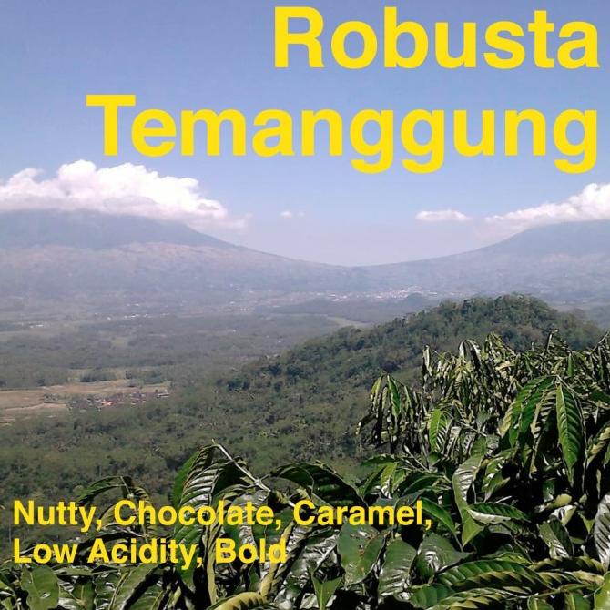 

Kopi Robusta Temanggung 1 kg 1kg KHUSUS Grab/Gojek SAJA