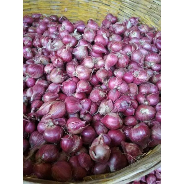 

Bawang Merah Probolinggo 500 gr