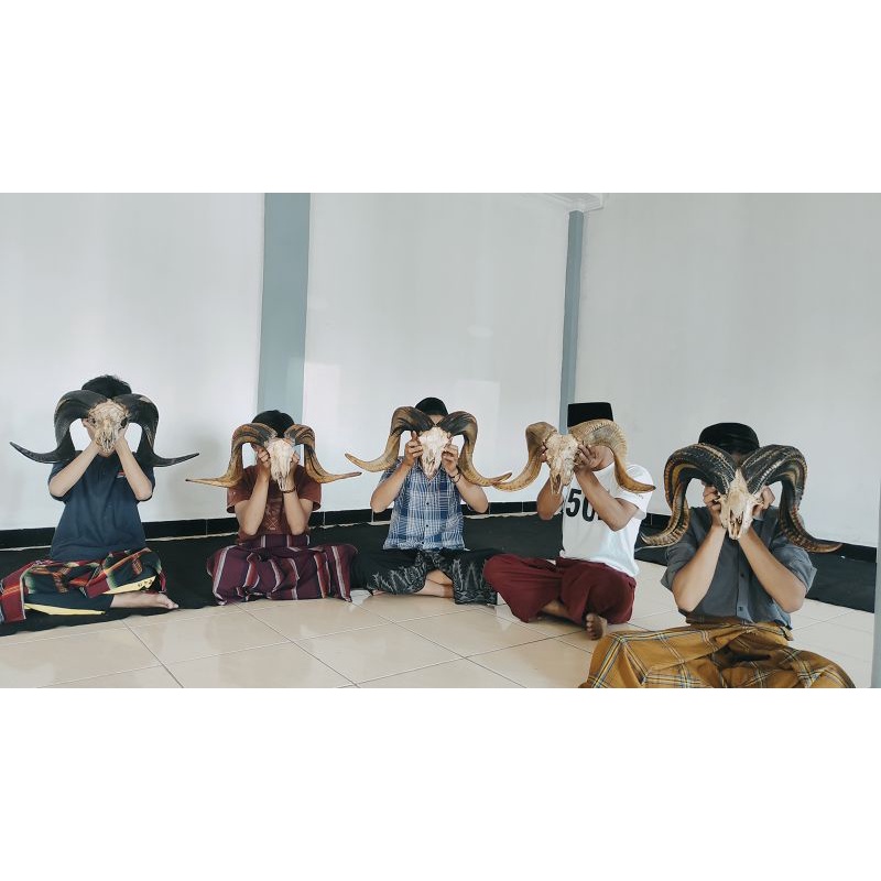 Hiasan tanduk asli domba garut