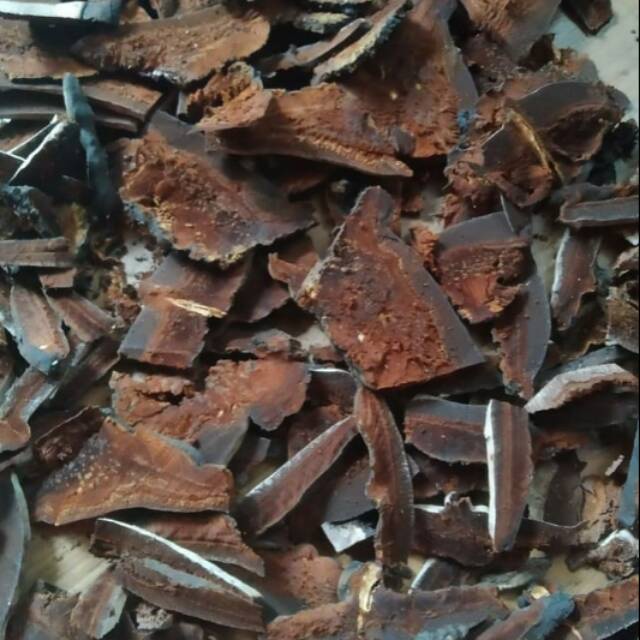 

Jual jamur ganoderma ataw linzi kering
