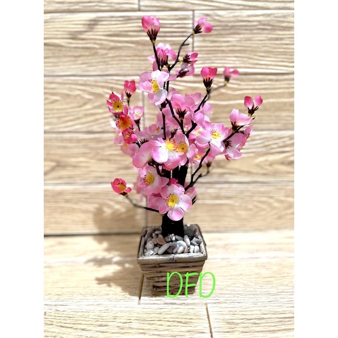 

Pohon Angpao / Bunga Sakura / Meihua Pink ( Uk : 35 Cm ) Limited Edition