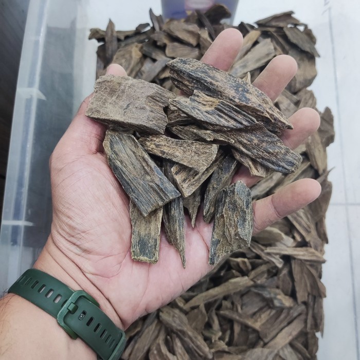 ✅Original 50 Gram Kayu Gaharu Budidaya Sanai Kalimantan Aromaterapi Wangi Harum Berkualitas