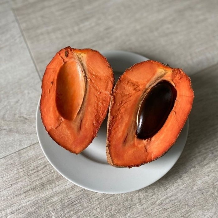 READY Tanaman Buah Mamey Sapote Magana / bibit sawo jumbo oren merah besar