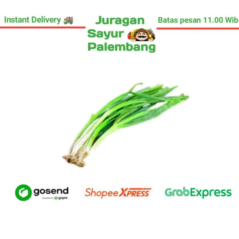 

Daun Bawang - Juragan Sayur Palembang