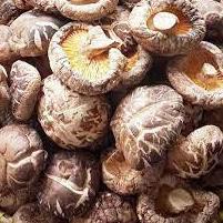 

Terlaris JAMUR SHITAKE HIOKO / XIANG GU / JAMUR KERING / FRAGRANT MUSHROOM 50 - 250 GRAM ..