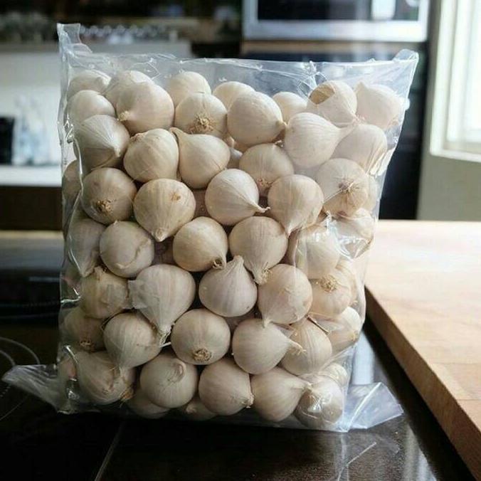 

Bawang Putih Tunggal / Bawang Lanang 1KG /Bawang Kesehatan Herbal