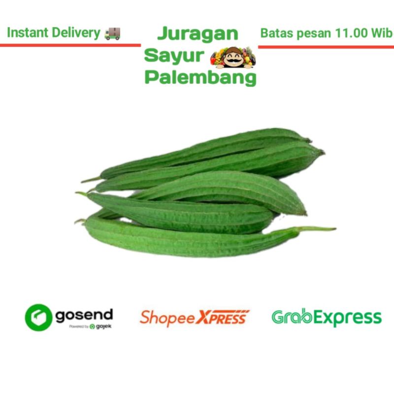 

Kisik / Oyong 500 gram - Juragan Sayur Palembang