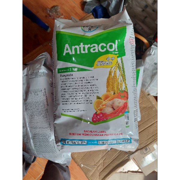 Fungisida ANTRACOL - 1 KG