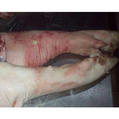 

DAGING BABI BAGIAN KAKI DEPAN
