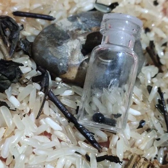 Batu mustika buto ireng sir alam asli temuan sepuh kuno antik pusaka