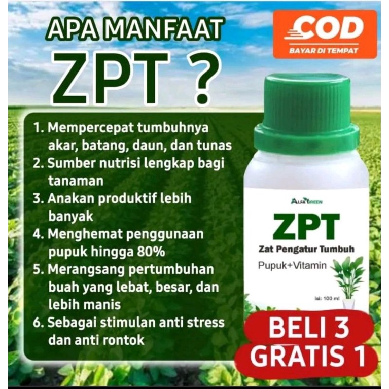 ZPT zat pengatur tumbuh
