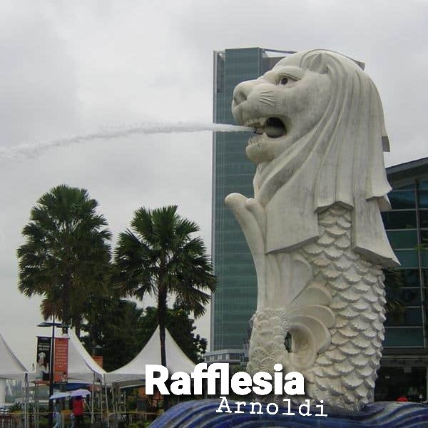 Patung singa merlion/Patung air mancur singapura