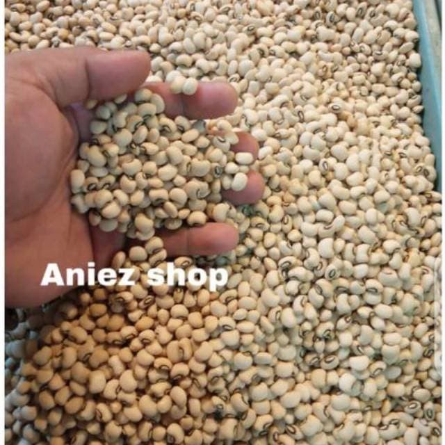 

Kacang Tolo Super (Biji Kacang Panjang) 1000 Gr