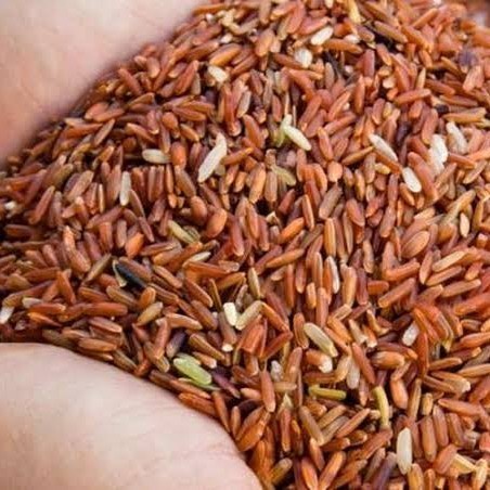 

Merah 1Kg Pakan Ayam.Jago Pakan Merpati Dll