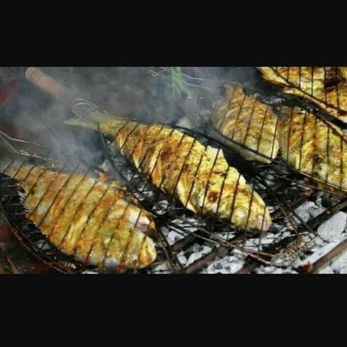 BBQ Griller/Barbeque Grill Ikan/Alat Bakaran Ikan/Panggangan Ikan