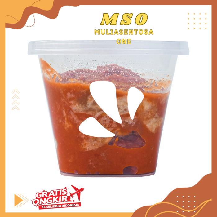 

BUMBU DASAR MERAH 100 GR THE BEST SELLER !!