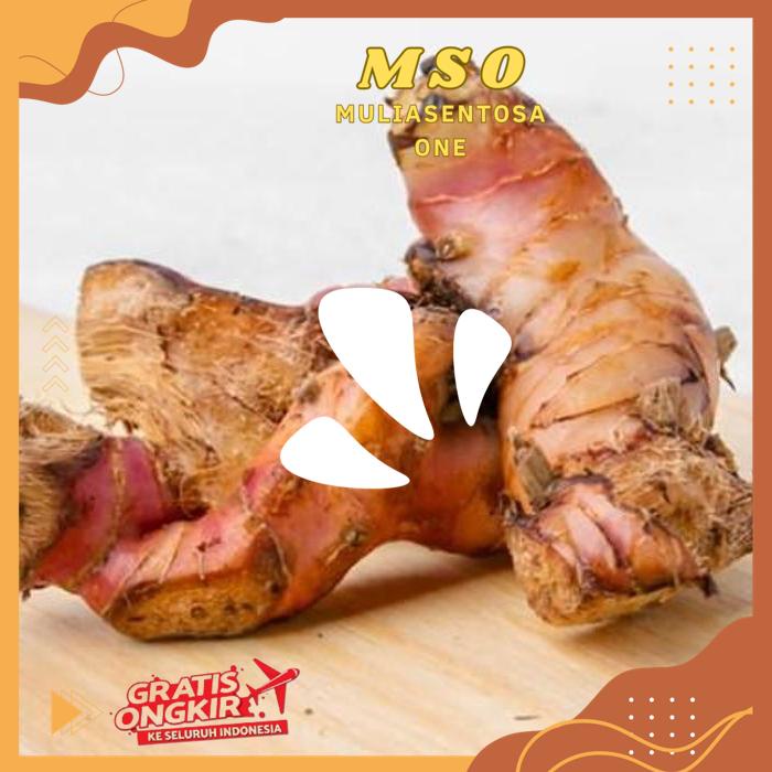

LENGKUAS 90 - 100 GR PODUK BAHAN BERKUALITAS !!