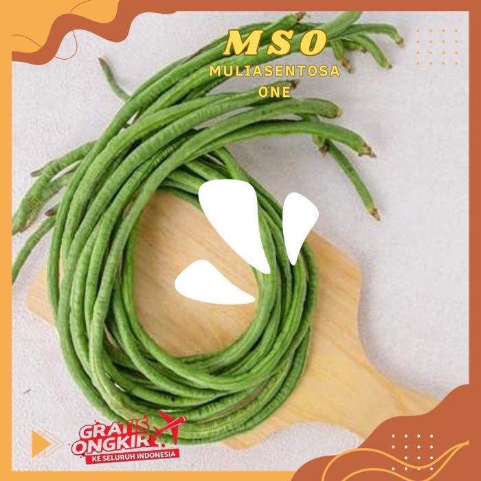 

KACANG PANJANG 240 - 250 GR PRODUK KUALITAS BERKELAS !!