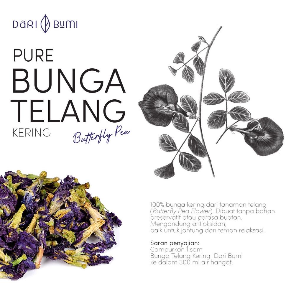 

Kekinian - Dari Bumi Teh Bunga Telang Kering Butterfly Pea Teh Herbal !!